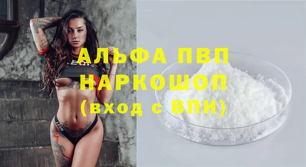 spice Богородск