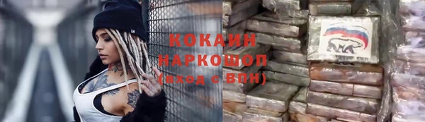 spice Богородск