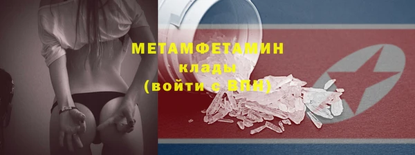 ГАЛЛЮЦИНОГЕННЫЕ ГРИБЫ Богданович