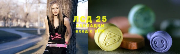 spice Богородск