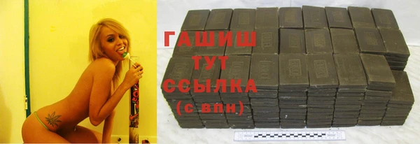 spice Богородск