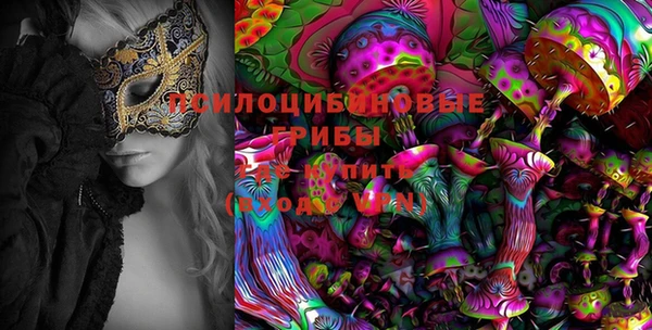 ГАЛЛЮЦИНОГЕННЫЕ ГРИБЫ Богданович