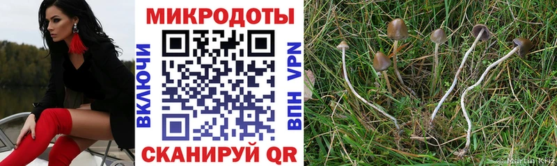 Псилоцибиновые грибы Magic Shrooms купить закладку Боготол